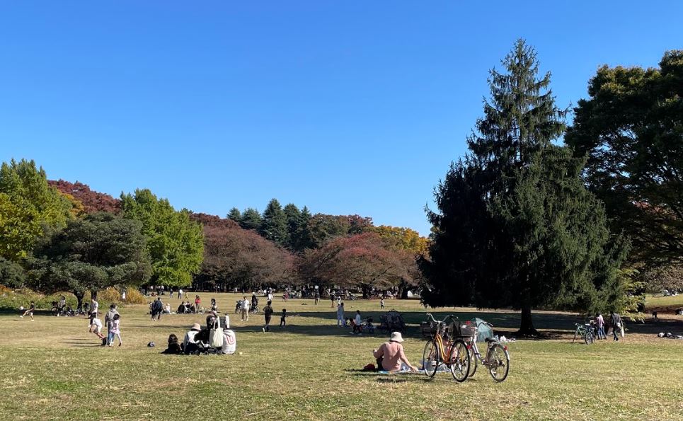 町の風景を開きます。