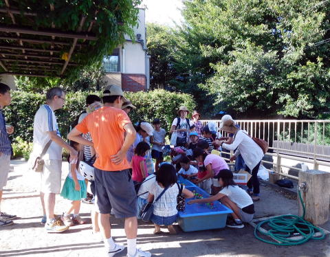 文化教養 文化教養