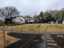 山桜園山桜の芝生