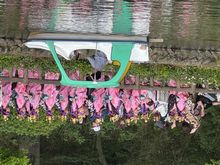 令和８年４月２６日（日）１０時から、第３９回照姫まつり