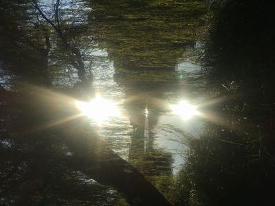 晩秋の陽光輝く