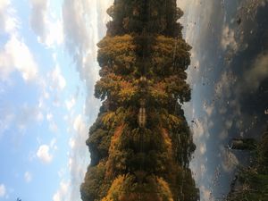 三宝寺池の朝焼け