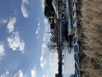 春本番の温かさでアヒルボートが繁昌しています