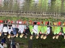 令和８年４月２６日（日）１０時から、第３９回照姫まつり