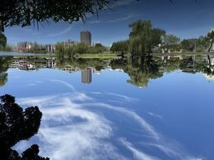 晴れた日の石神井公園