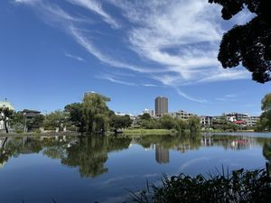 晴れた日の石神井公園