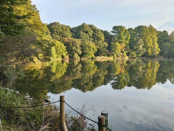 水面に映る空、三宝寺池の風景 水面に映る空、三宝寺池の風景