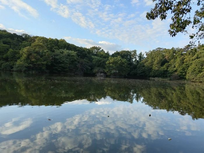 水面に映る空、三宝寺池の風