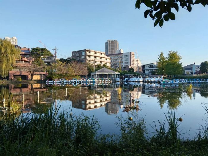 水面に映る空、石神井公園ボート池の風景