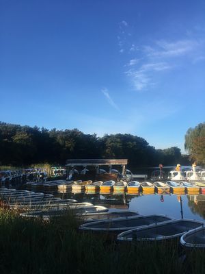 石神井公園ボート池