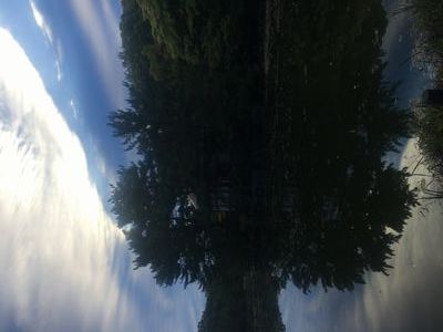 晩秋の空の景色