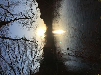 早朝の日差しが強くなってきた