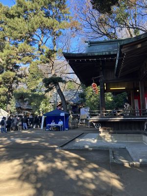 氷川神社の参拝客