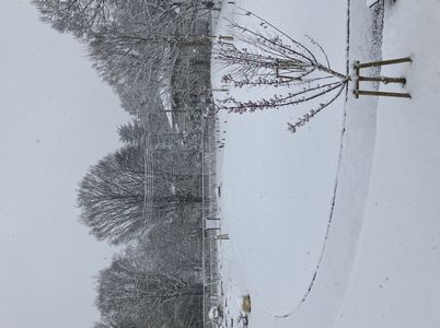 ２月７～８日は雪が舞ったよ