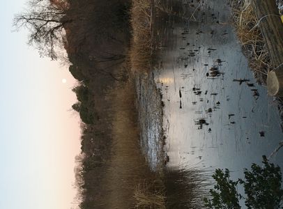 残雪と水面に氷の三宝寺池。早朝の満月