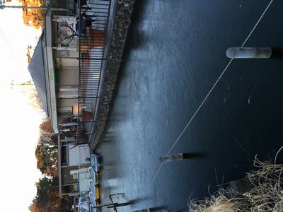 ボート乗り場にも氷が張ったよ！