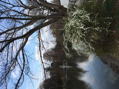 モニュメントの付近に白い花