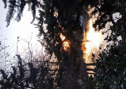 立春後の三宝寺池に夕日が沈む