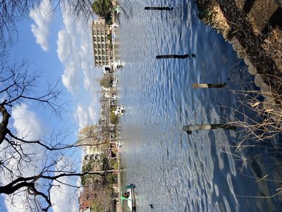 春本番の温かさでアヒルボートが繁昌しています