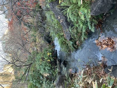 六本木ミッドタウンの檜町公園（ひのきちょうこうえん）