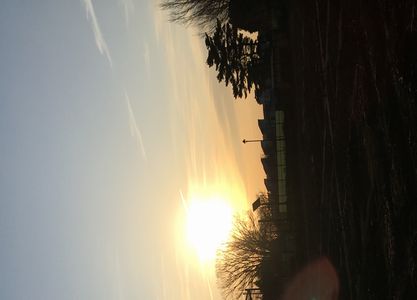 立春後の陽光輝く