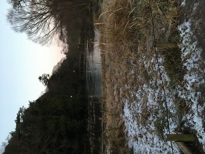残雪と水面に氷の三宝寺池。
