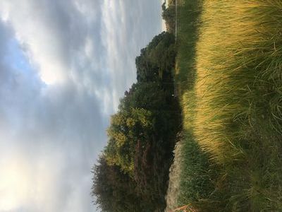 ボート乗り場近くの秋景色