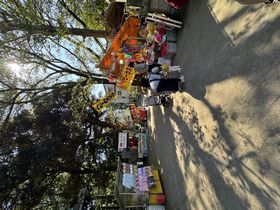 氷川神社の例大祭